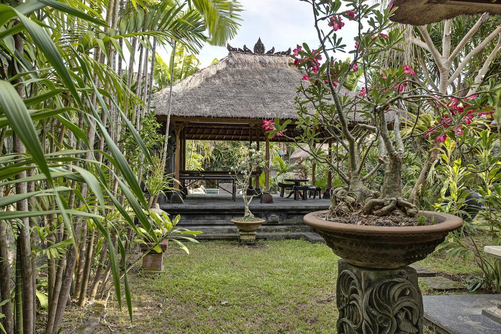 Villa Hibiscus Sanur Exteriér fotografie